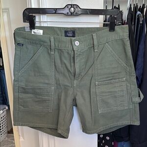 Citizens of Humanity Women's Green Shorts